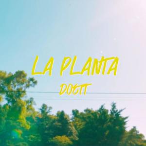 LA PLANTA (Explicit)