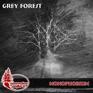 Grey Forest