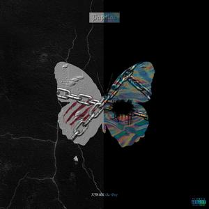 蝴蝶/PAPILLON