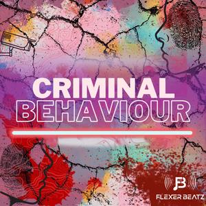 Criminal Behaviour (UK Garage x Summer Bassline)