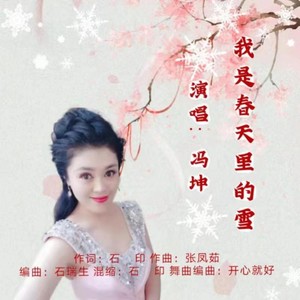 我是春天里的雪  二重唱舞曲版