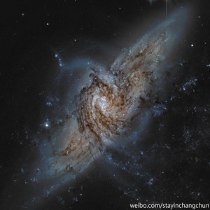 读·想 Vol.4 十年 Miss You Much, Leslie