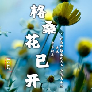 格桑花已开 (DJ默涵版)