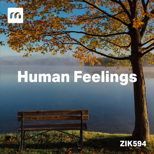 Human Feelings