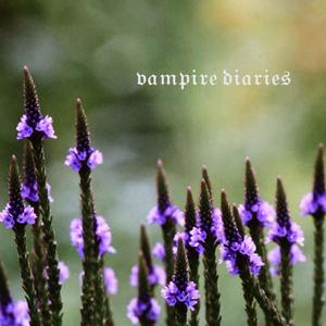 Vampire Diaries(feat. Roses)