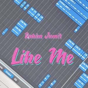 Like Me (Explicit)