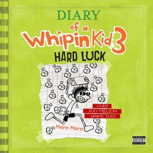 Diary Of A Whipin Kid 3 (Explicit)