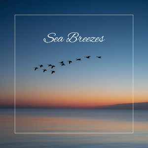 Sea Breezes