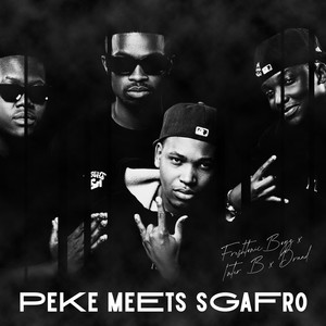 Peke meets Sgafro