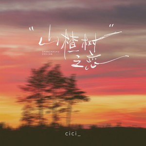 山楂树之恋 (你的喜好你的习惯)