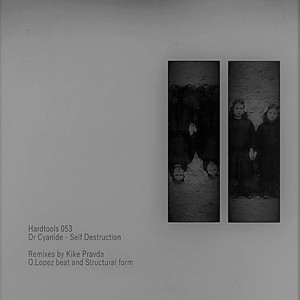Self Destruction (Structural Form Remix)