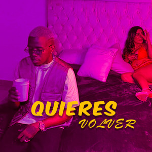 Quieres Volver (Explicit)