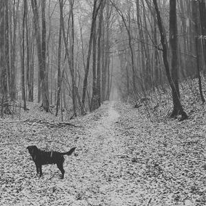 My Everything Is You