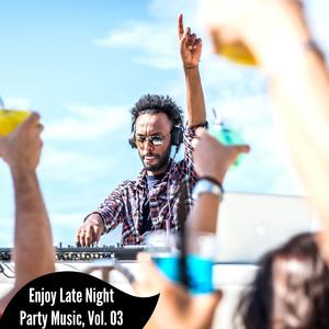 Enjoy Late Night Party Music, Vol. 03