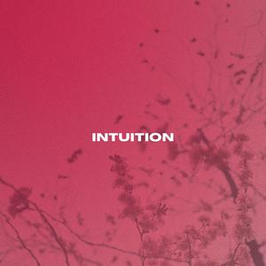 Intuition