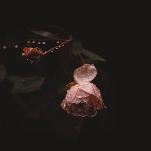 keep waiting for you2