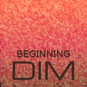 Beginning Dim