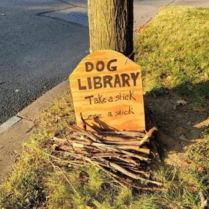 dog library