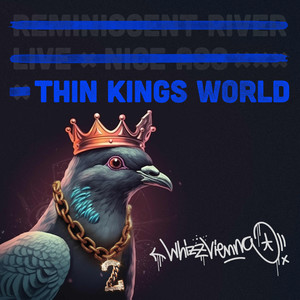 Thin Kings World