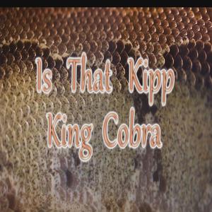 King Cobra (Explicit)
