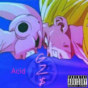 GZS (prod.pzb)