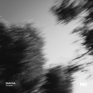 Simple (Extended Mix)