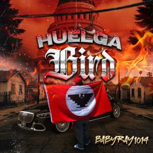 Huelga Bird (Explicit)