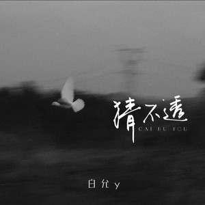 猜不透封面