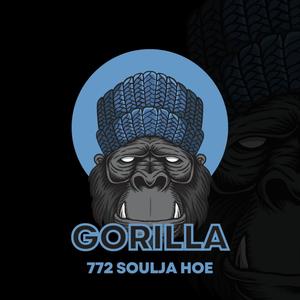 Gorillas (feat. Ca$h motivated) [Explicit]