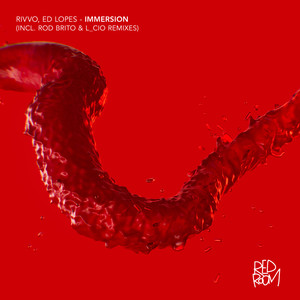 Immersion (Rod Brito Remix)