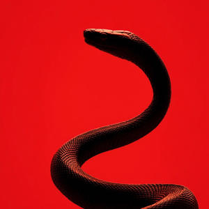 break dat code (Explicit)