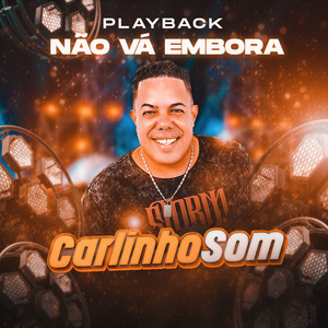 Não Vá Embora (Playback)