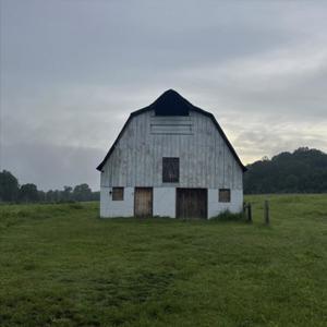 Your Mind (Explicit)