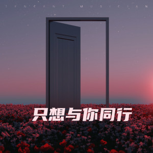 只想与你同行