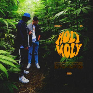 Holy Moly (feat. Cravvee) [Explicit]