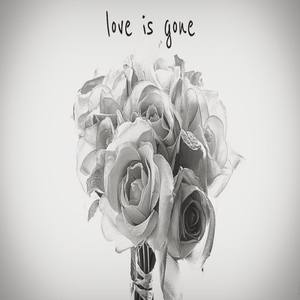 Love Is Gone