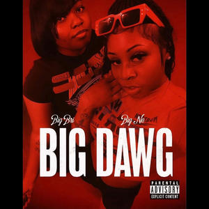 Big Dawg (feat. Big Bri) (Explicit)