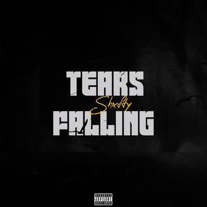 Tears Falling (Explicit)