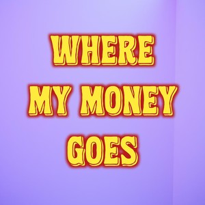 Where My Money Goes