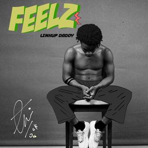 Feelz (Explicit)