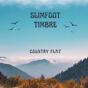 Country Flat (feat. Tim Turvey & Matt Welbanks)