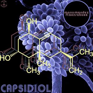 Capsidiol (feat. senrabass)