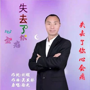 失去了你心会痛