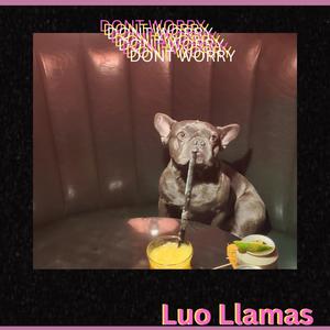 DON'T WORRY (Explicit)