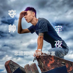 夺帅