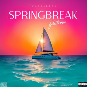 SpringBreak (feat. djelectronic)