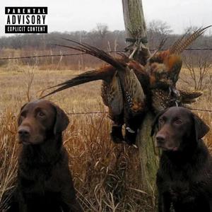 Your Terms (feat. Forenzik Styles) (Explicit)