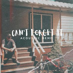 can't forget it (acoustic demo)