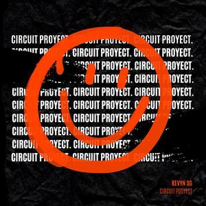 Circuit Proyect