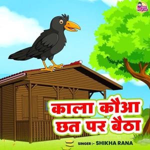 Kala Kauwa Chhath Par Baitha